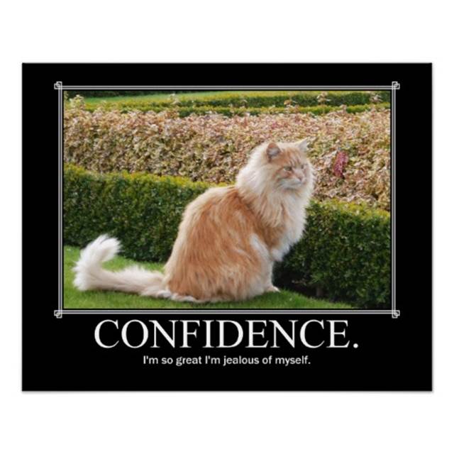 http://rlv.zcache.com/confidence_cat_artwork_funny_print-rc770b32e6314485e99729f2dcd526e17_wv3_8byvr_512.jpg