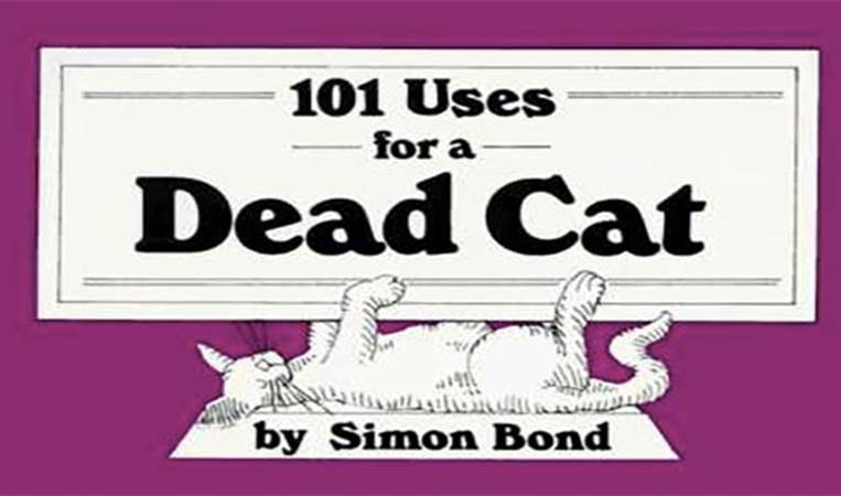 101 Uses For A Dead Cat